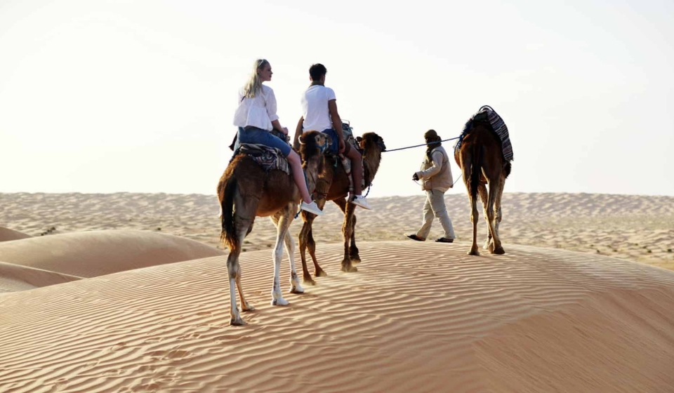 discover the Sahara Desert
