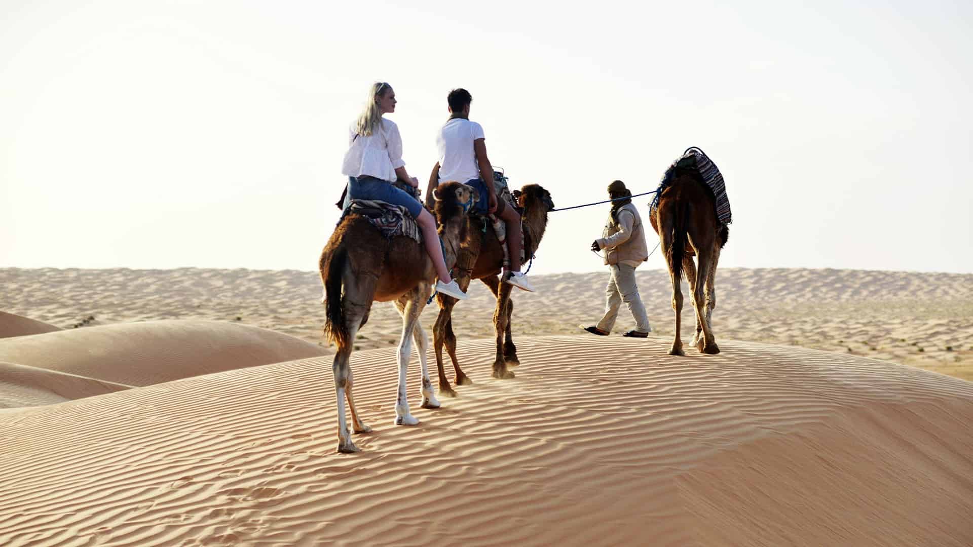 discover the Sahara Desert