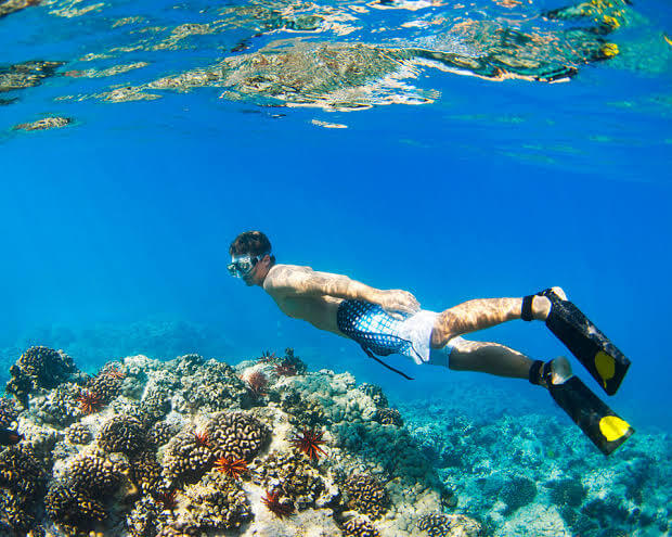 Snorkeling in Tunisia over a coral reef